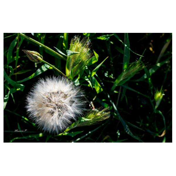 PHOTO84, CLUB, 84 , LUBERON